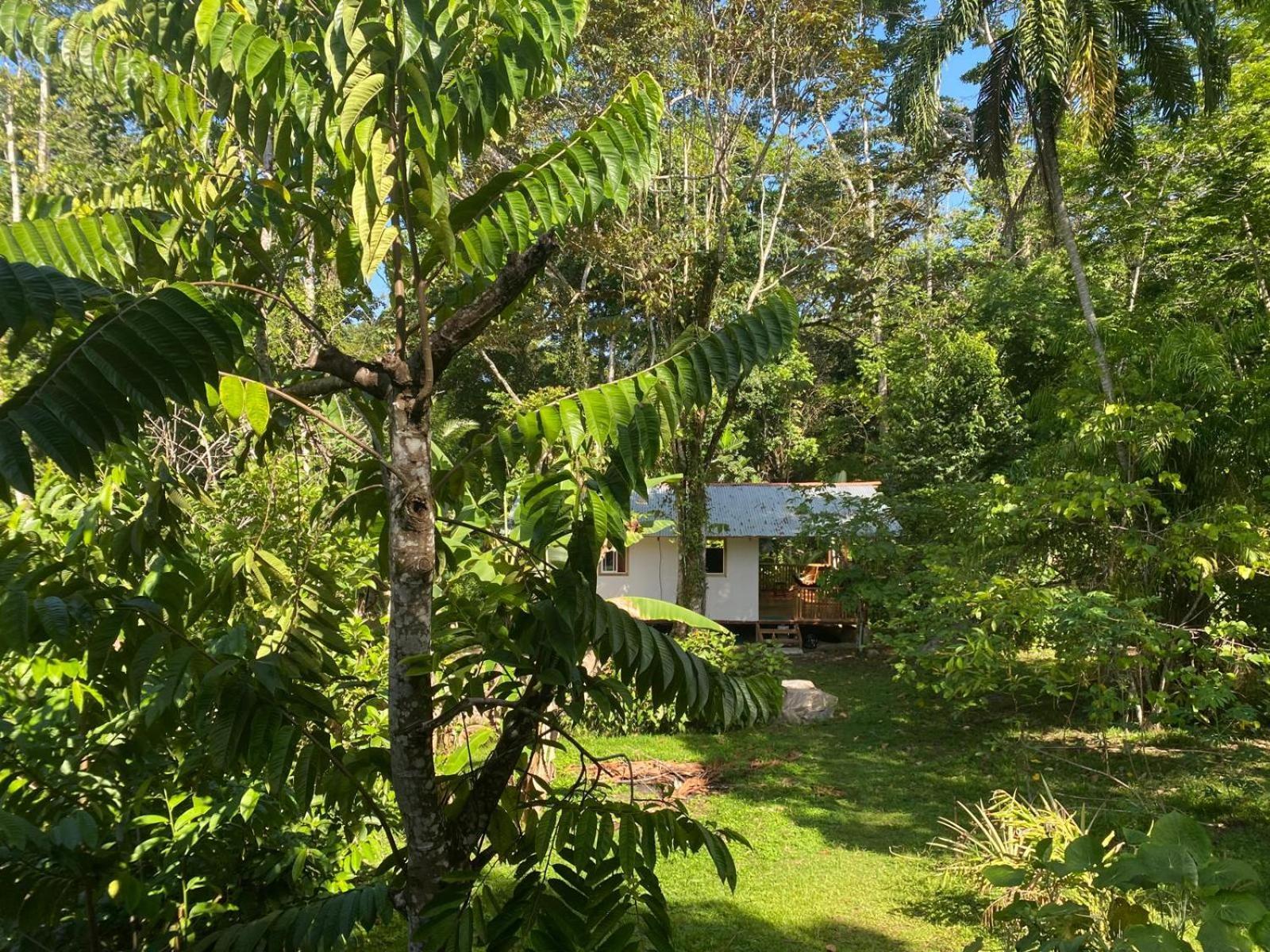 Villa Caribbean Retreats Cocles Exterior foto