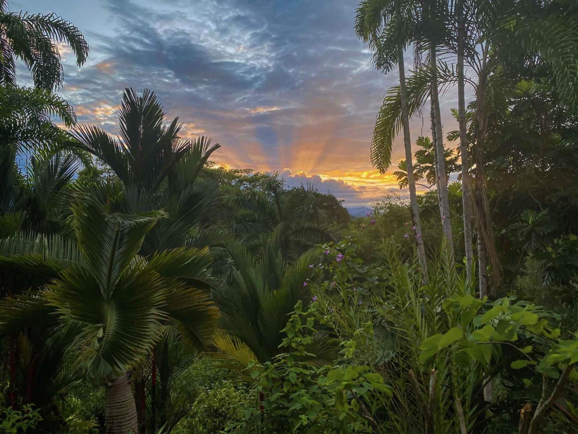 Villa Caribbean Retreats Cocles Exterior foto